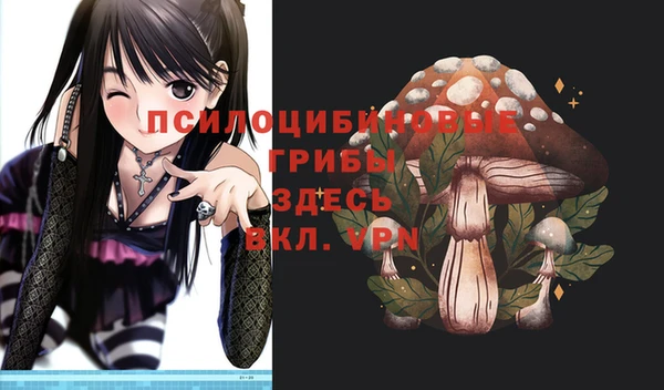 молекула духа Покачи