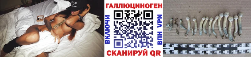 Псилоцибиновые грибы Psilocybine cubensis  Купить где  Нелидово 
