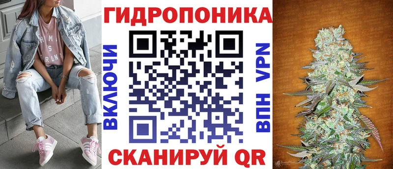 Купить  Нелидово  Бошки марихуана OG Kush 